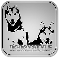 Honden Trainingscentrum & Pension Doggy Style